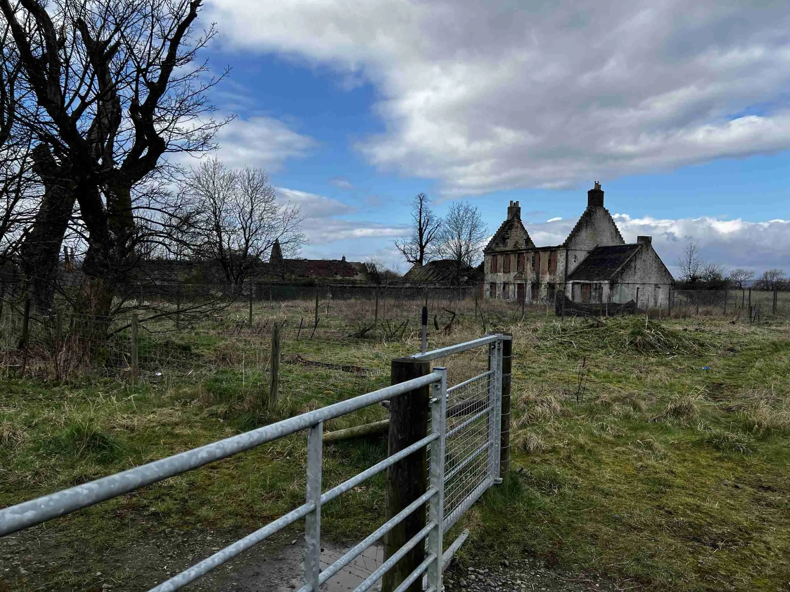 The Burgh Meadows